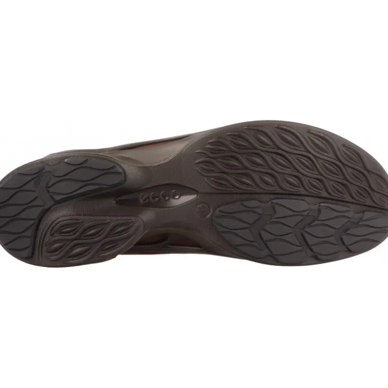 Sneakers|Baskets*Ecco Biom Fjuel M Moka