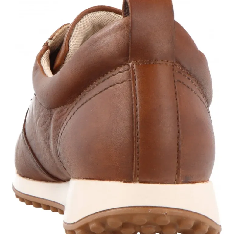 Sneakers*Remonte Bristol Brun