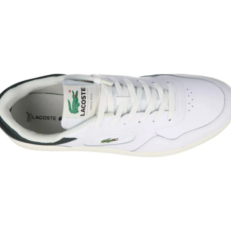 Sneakers|Casual*Lacoste Lineset White Green