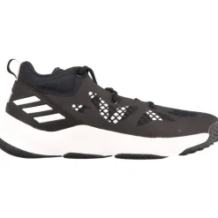 Basketball|Baskets*Adidas Pro N3xt 2021 Black/White