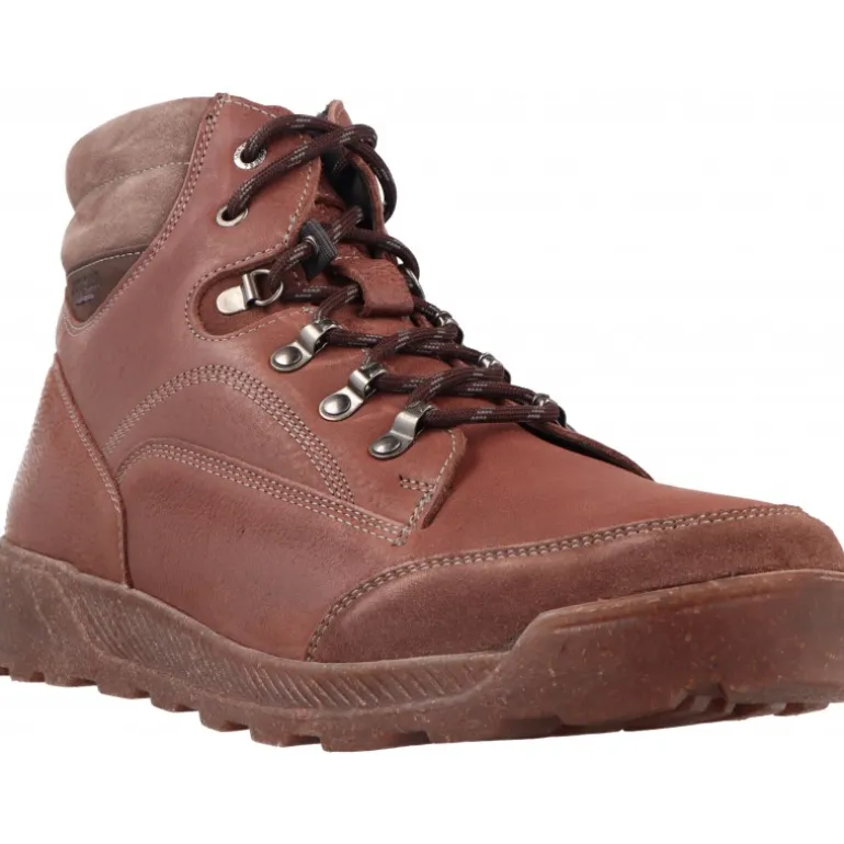 Bottes / Montantes|Casual*Josef Seibel Raymond 02 Braun