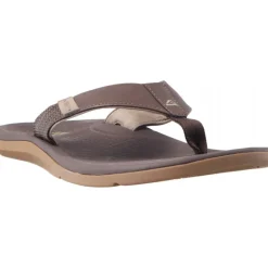 Tongs*Reef Santa Ana Brown