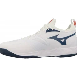 Baskets*Mizuno Wave Dimension